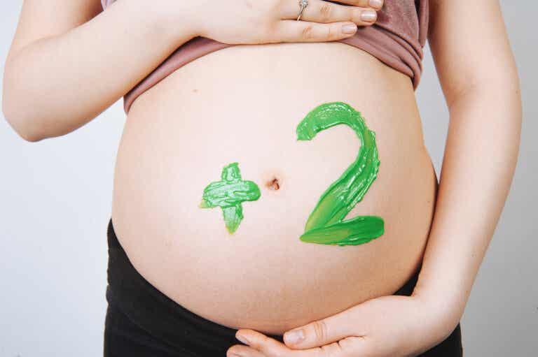 Nutrición en el embarazo múltiple: principales consideraciones