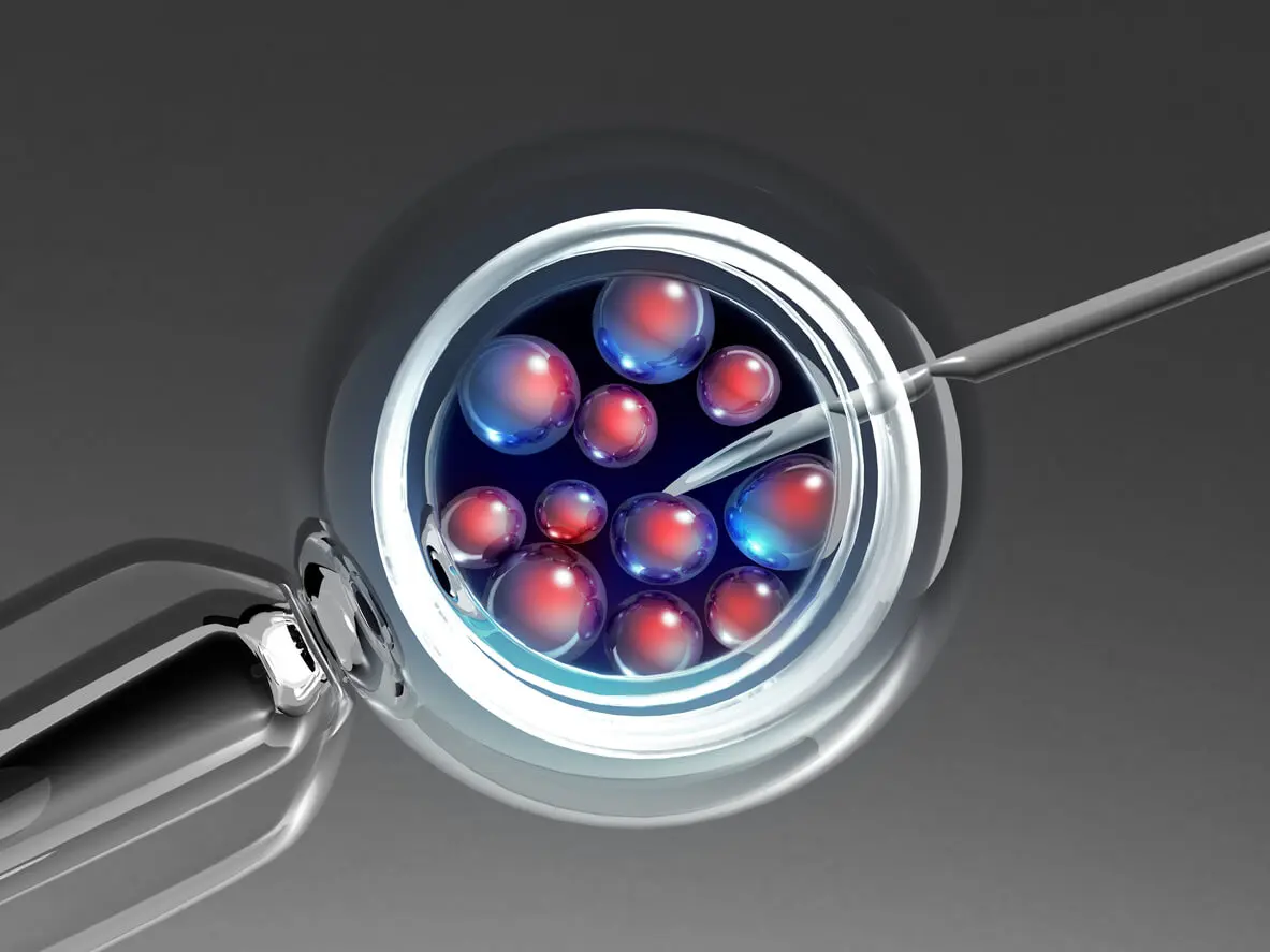 Fertilización in vitro.