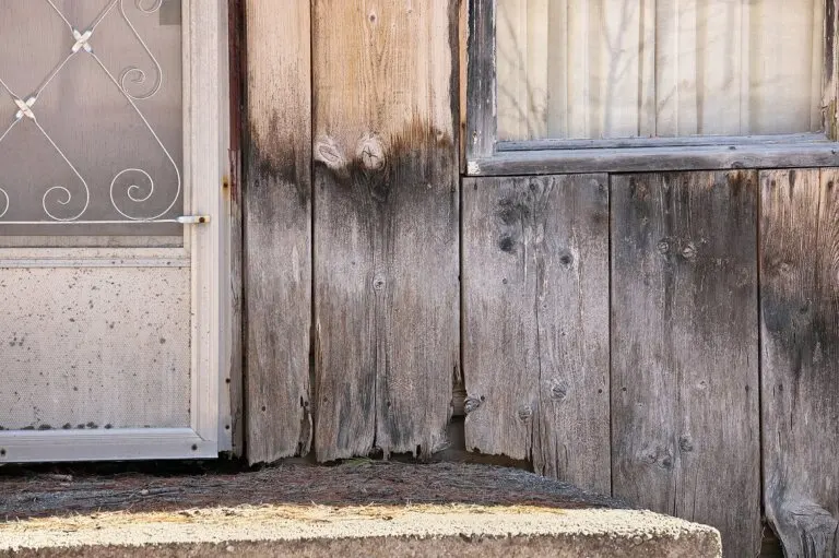 4 trucos para eliminar el moho negro de la madera