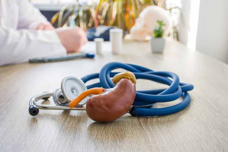 Nuevas pautas de nutrición para la enfermedad renal crónica
