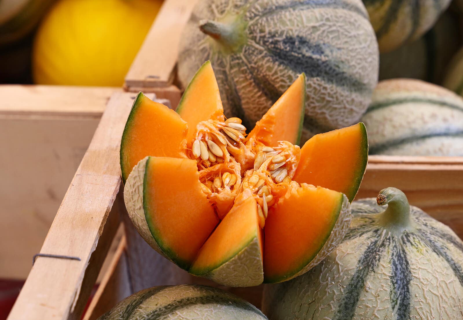 8 variétés de melon