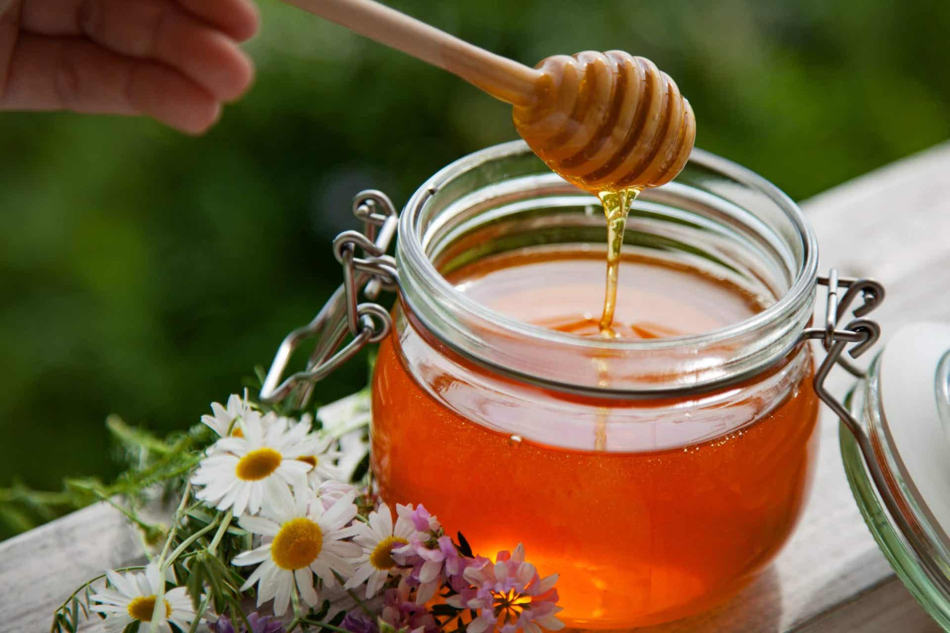 La miel para tratar las úlceras