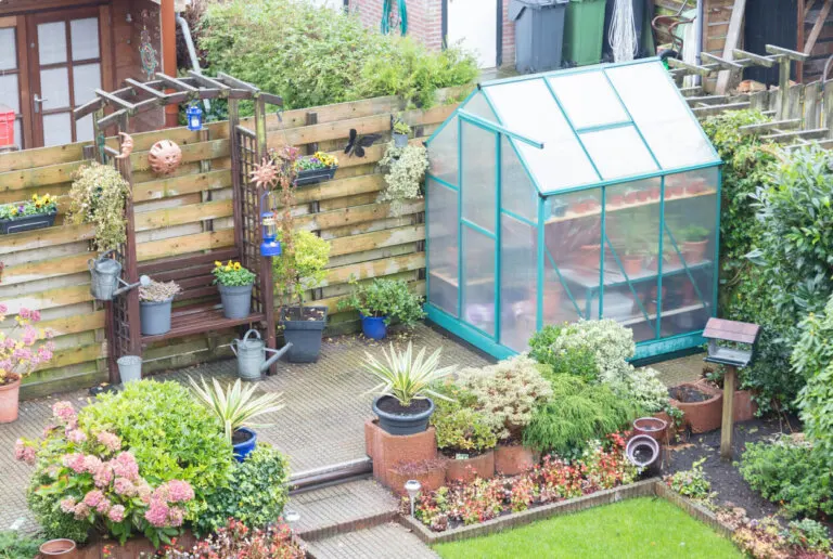 Urnas y mini invernaderos: ¿cómo tener uno en casa?