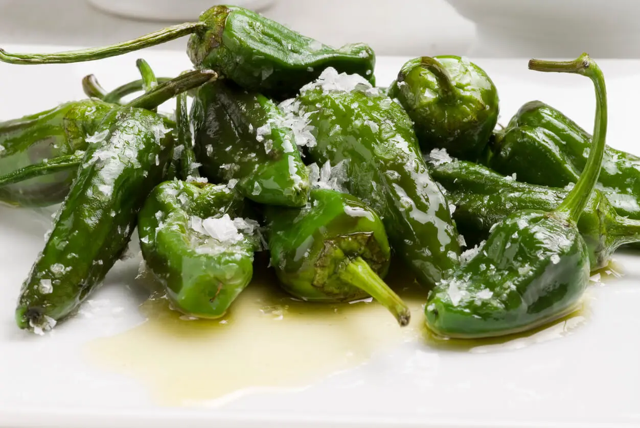 Pimiento del padrón.