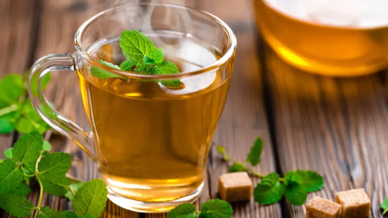 Té de hierbabuena: para qué sirve, contraindicaciones y preparación