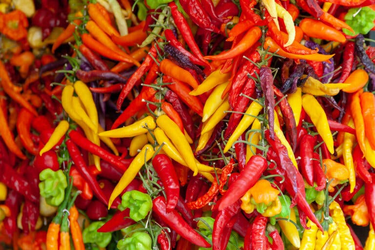 12 tipos de pimientos, características y propiedades