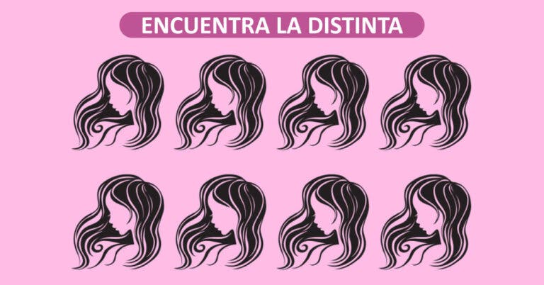 ¿Puedes encontrar rápidamente el diferente en 15 imágenes?