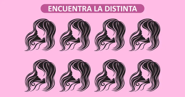 ¿Puedes encontrar rápidamente el diferente en 15 imágenes?