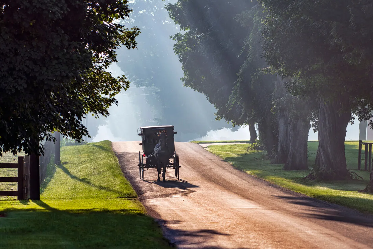 Comunidad amish inspira el estilo kinfolk.
