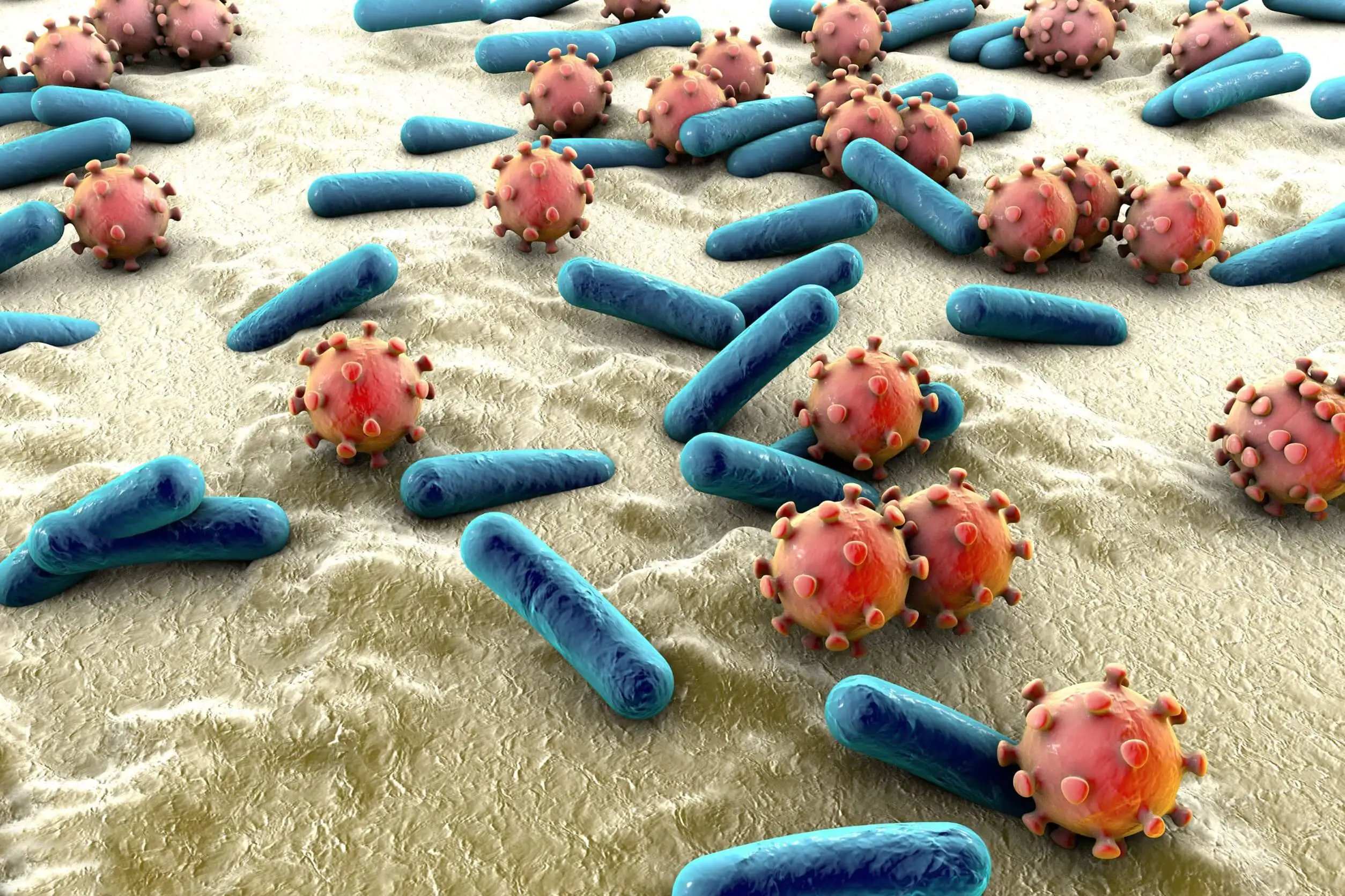 Microbiota de la piel.