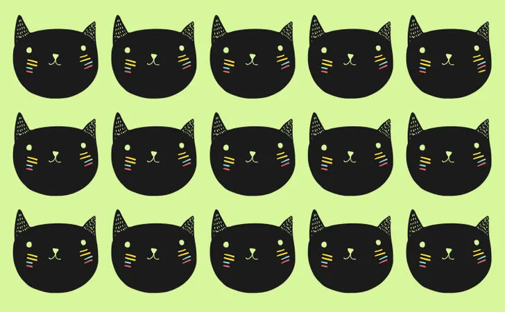 Le chat différent