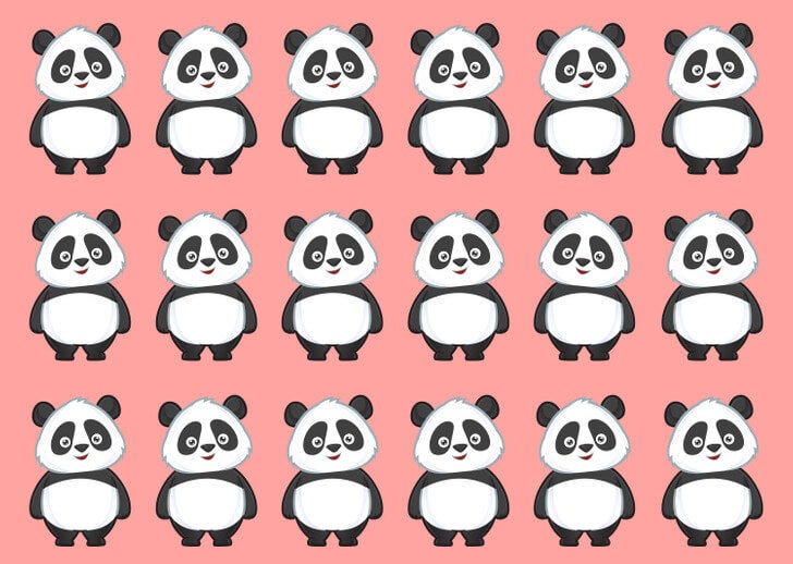 Le panda qui ne fait pas partie du groupe, l'une des images qui nécessitent une analyse plus approfondie.