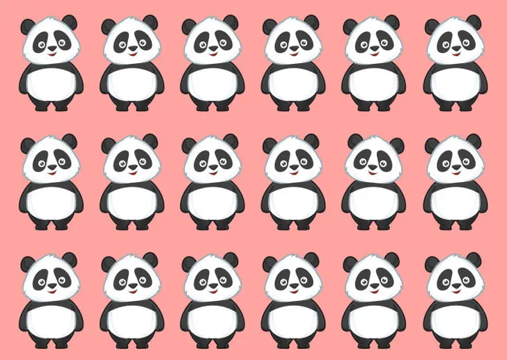 Le panda qui ne fait pas partie du groupe, l'une des images qui nécessitent une analyse plus approfondie.