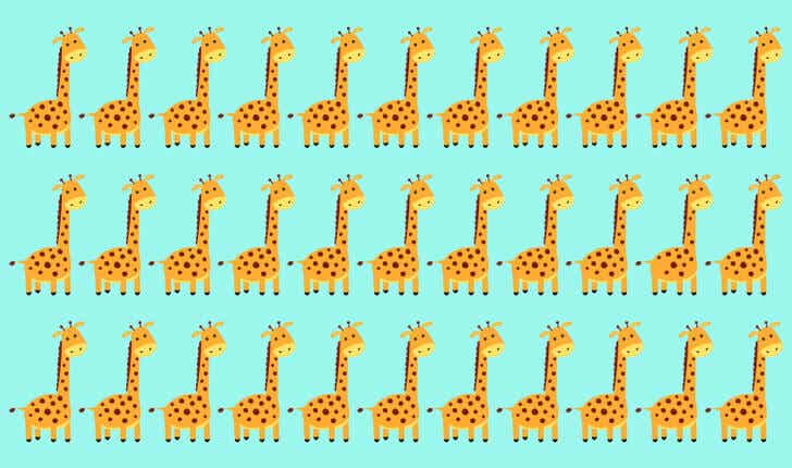 Le défi de la girafe, l'une des meilleures images pour entraîner vos yeux.