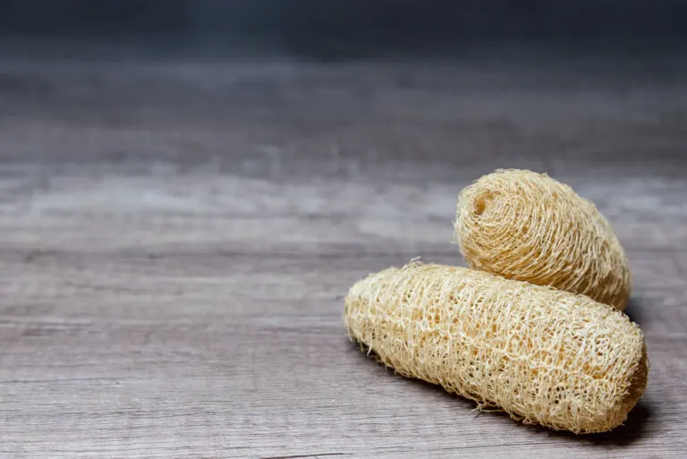 Esponja de Luffa: beneficios y cómo utilizarla