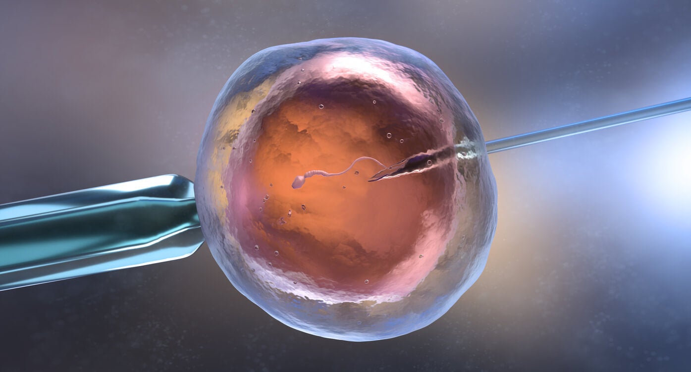 Aborto después de la fertilización in vitro: ¿por qué ocurre?