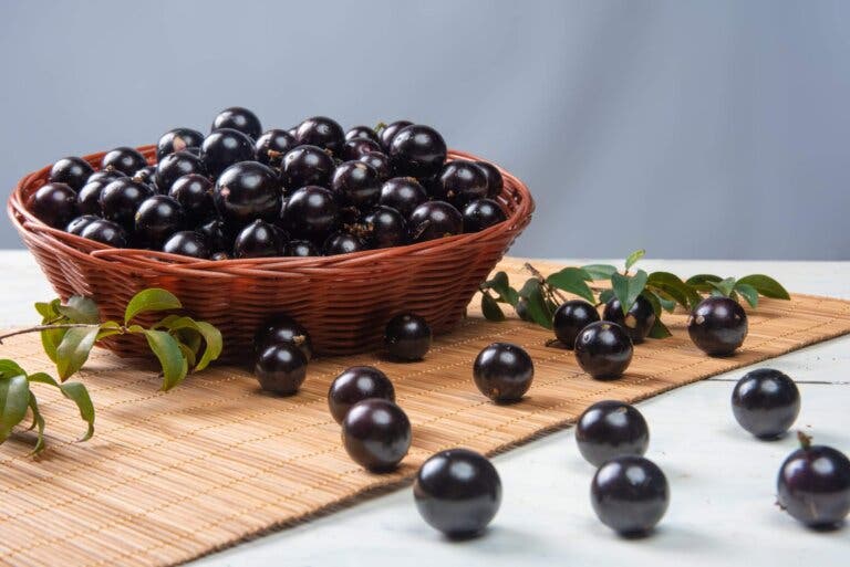 Jabuticaba: beneficios y cómo consumirla