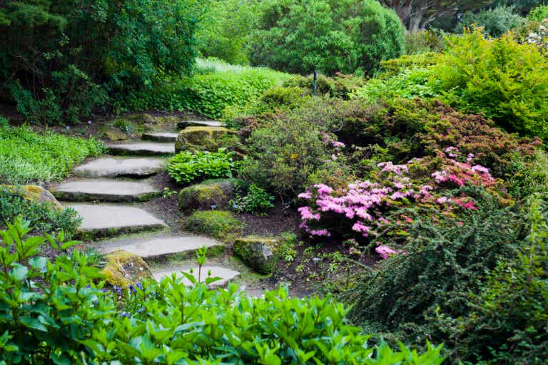 Consejos y pasos para tener un jardín alpino en tu casa