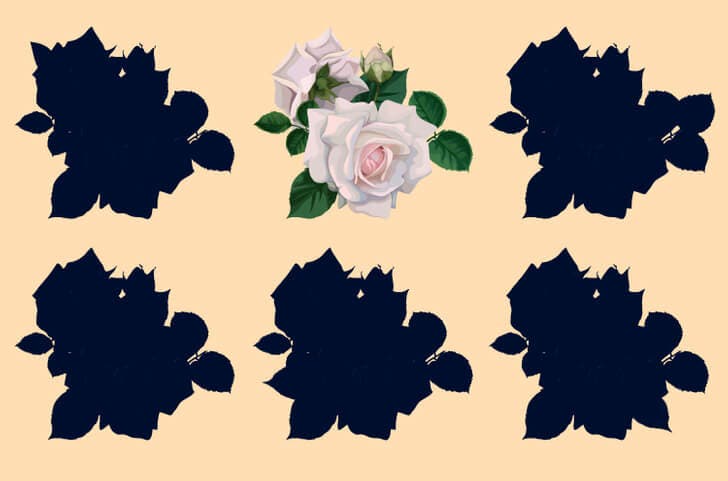 La silhouette de la fleur.