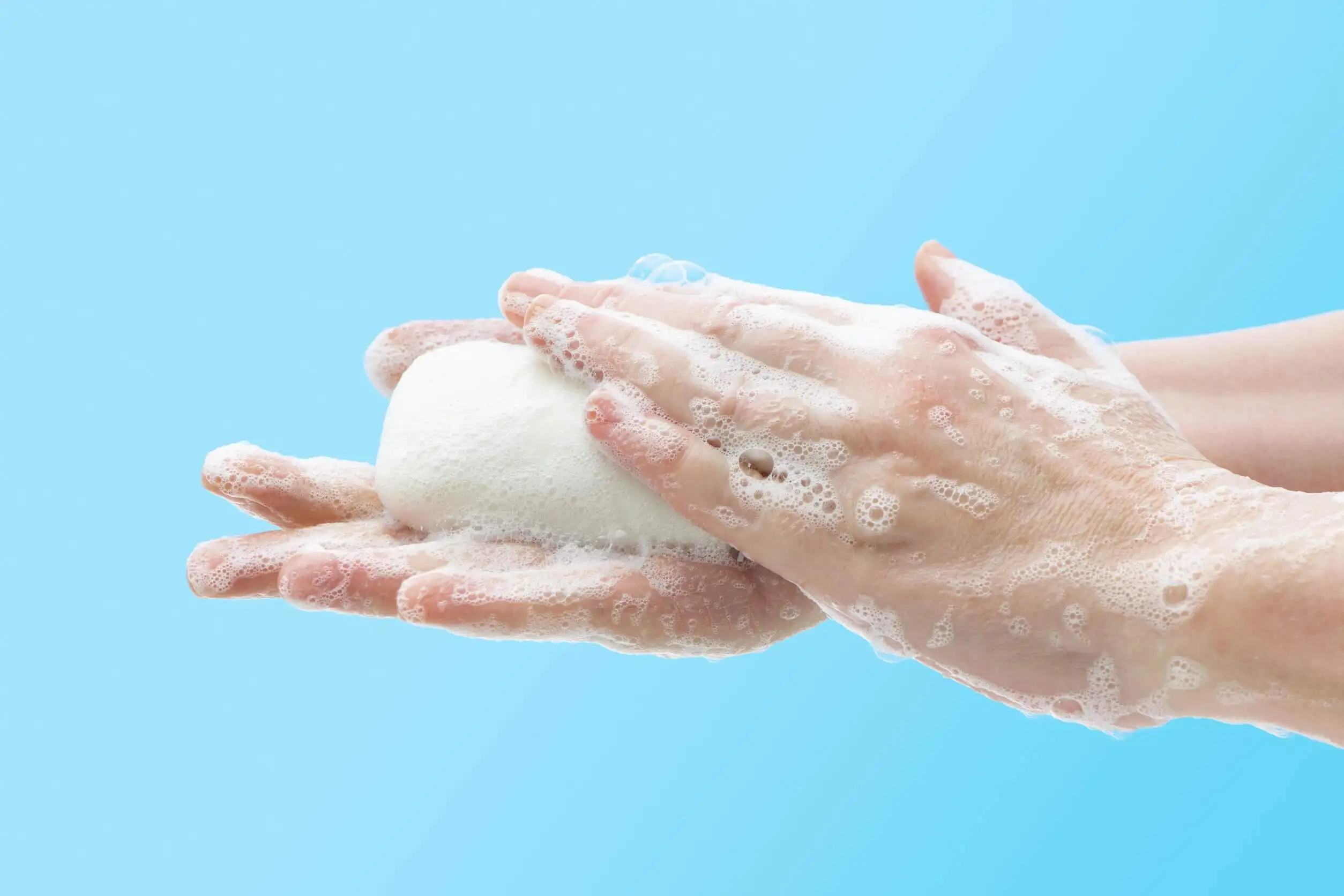 Las zoonosis pueden prevenirse