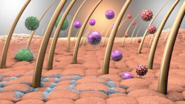 Importancia de la microbiota cutánea en la salud de la piel