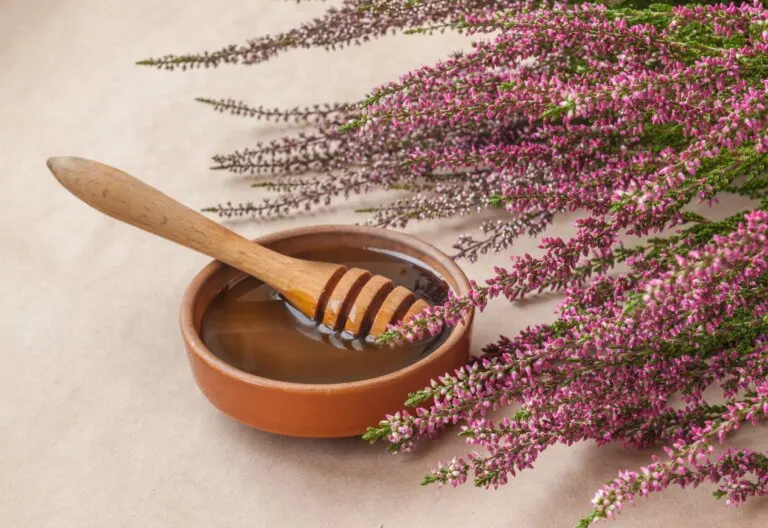 Miel de brezo: beneficios, consumo y contraindicaciones