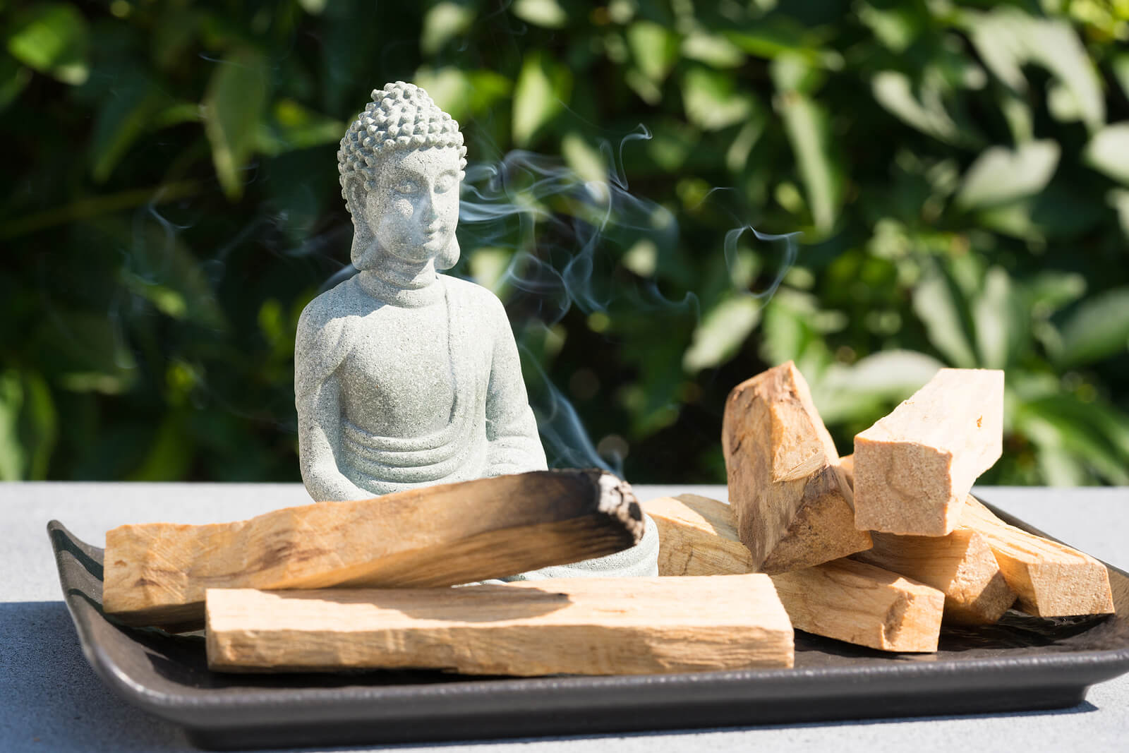 reflejar hélice cigarro Palo santo: beneficios y usos de la «madera espiritual» - Mejor con Salud