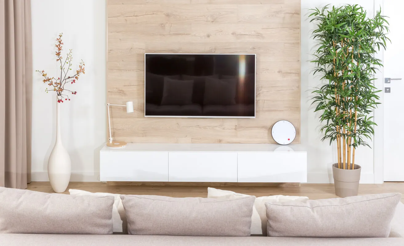 Pared de TV minimalista.