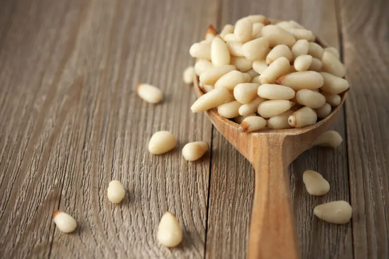 Piñones: valor nutricional, beneficios y modo de consumo
