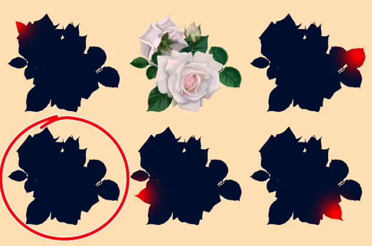 Réponse de la silhouette fleurie.
