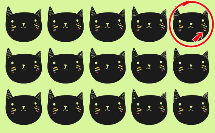 Réponse de chat différente.