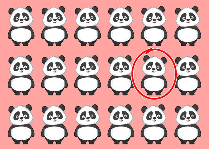 Réponse au défi du panda.