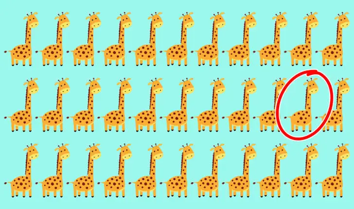 Réponse au défi de la girafe.
