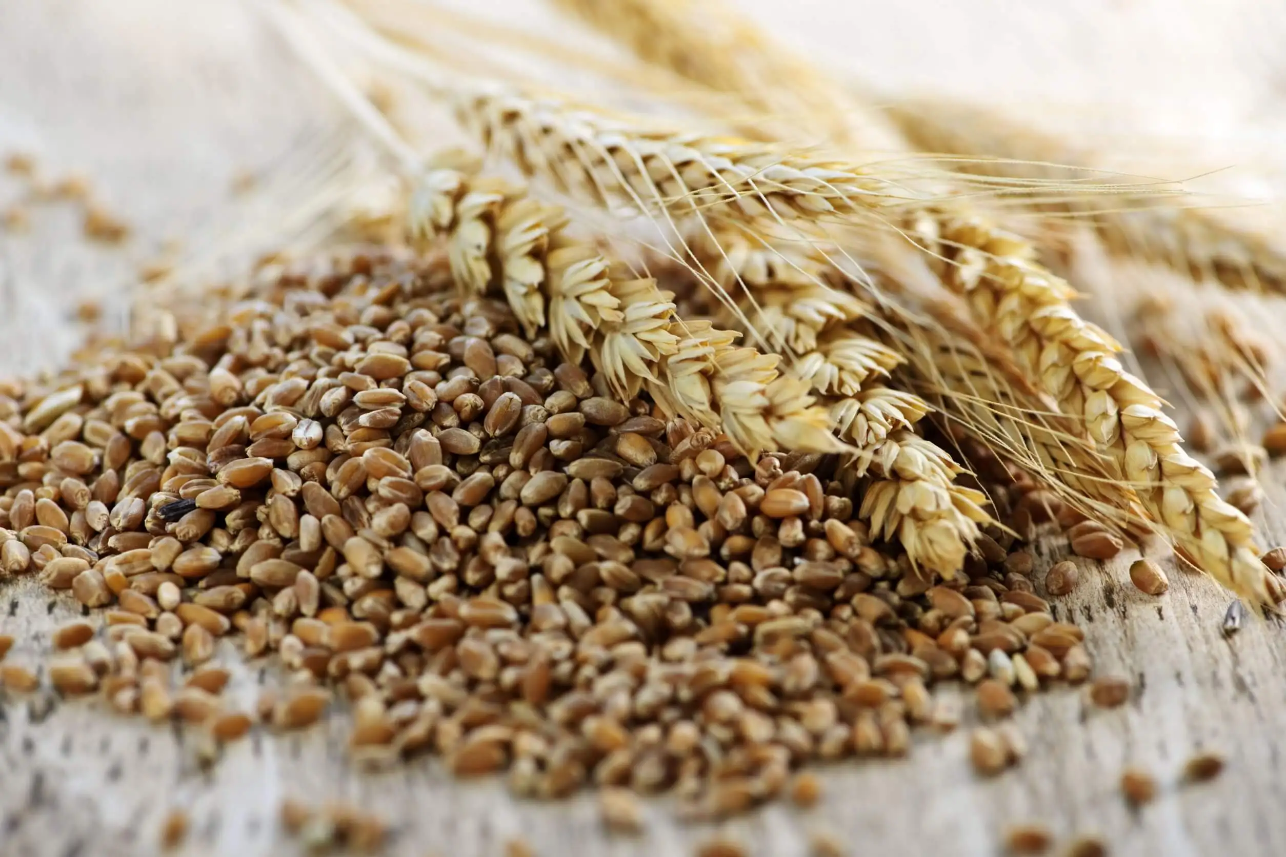 Cómo consumir salvado de trigo: consejos y beneficios
