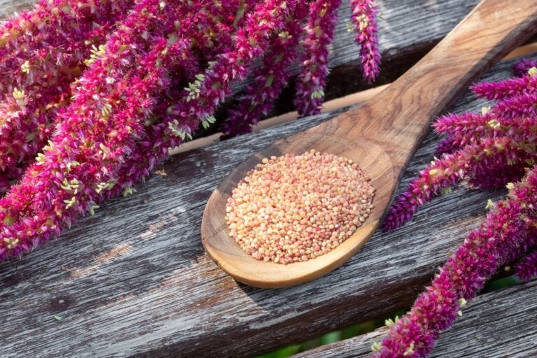 6 recetas deliciosas para sumar el amaranto a tu dieta