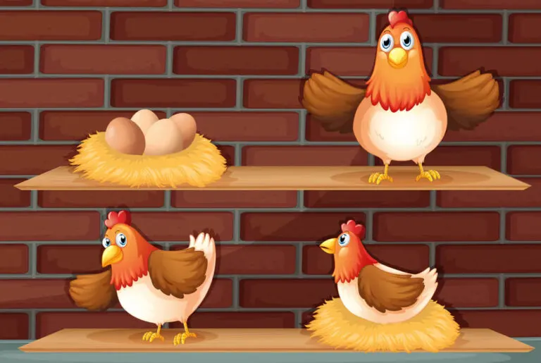 ¿El huevo o la gallina? ¿Qué fue primero?