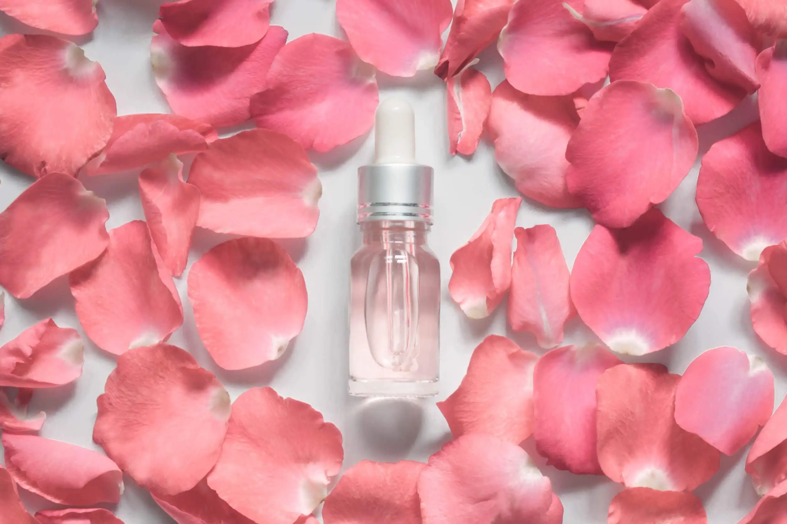 Rosa es una de las plantas cosméticas que puedes tener en tu jardín y en macetas.