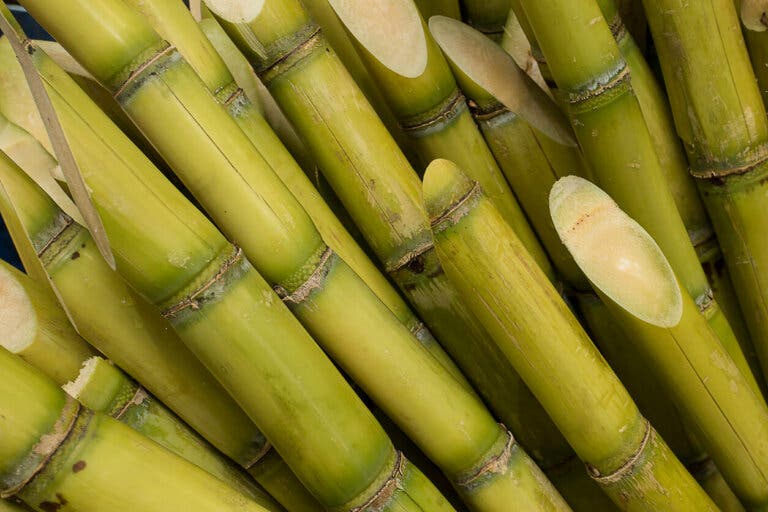 ¿Qué es el vinagre de caña y cuáles son sus usos?