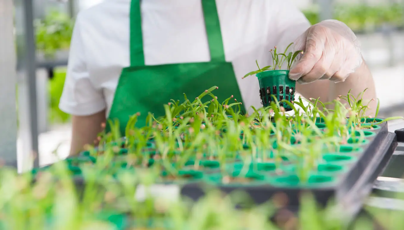 Estructura para hidrponia.