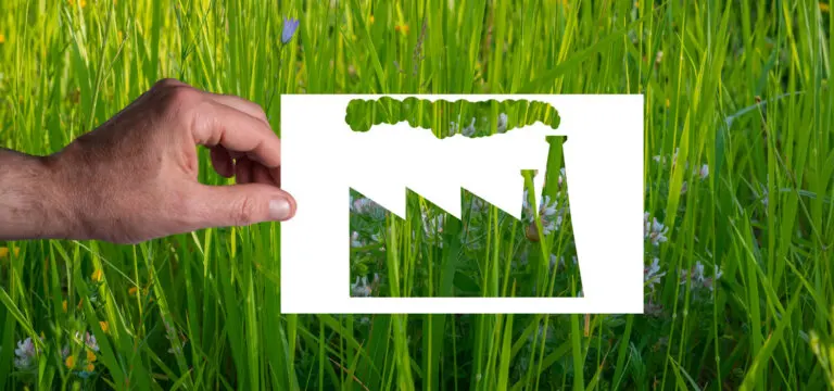 Greenwashing: ¿qué es y cómo identificarlo?