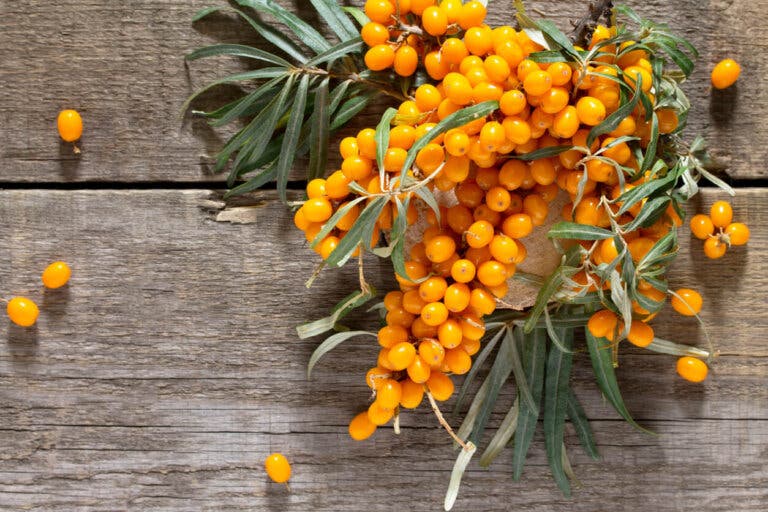 Espino amarillo: beneficios para la salud
