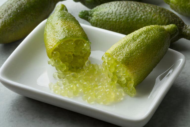 Finger lime o caviar cítrico: beneficios y usos