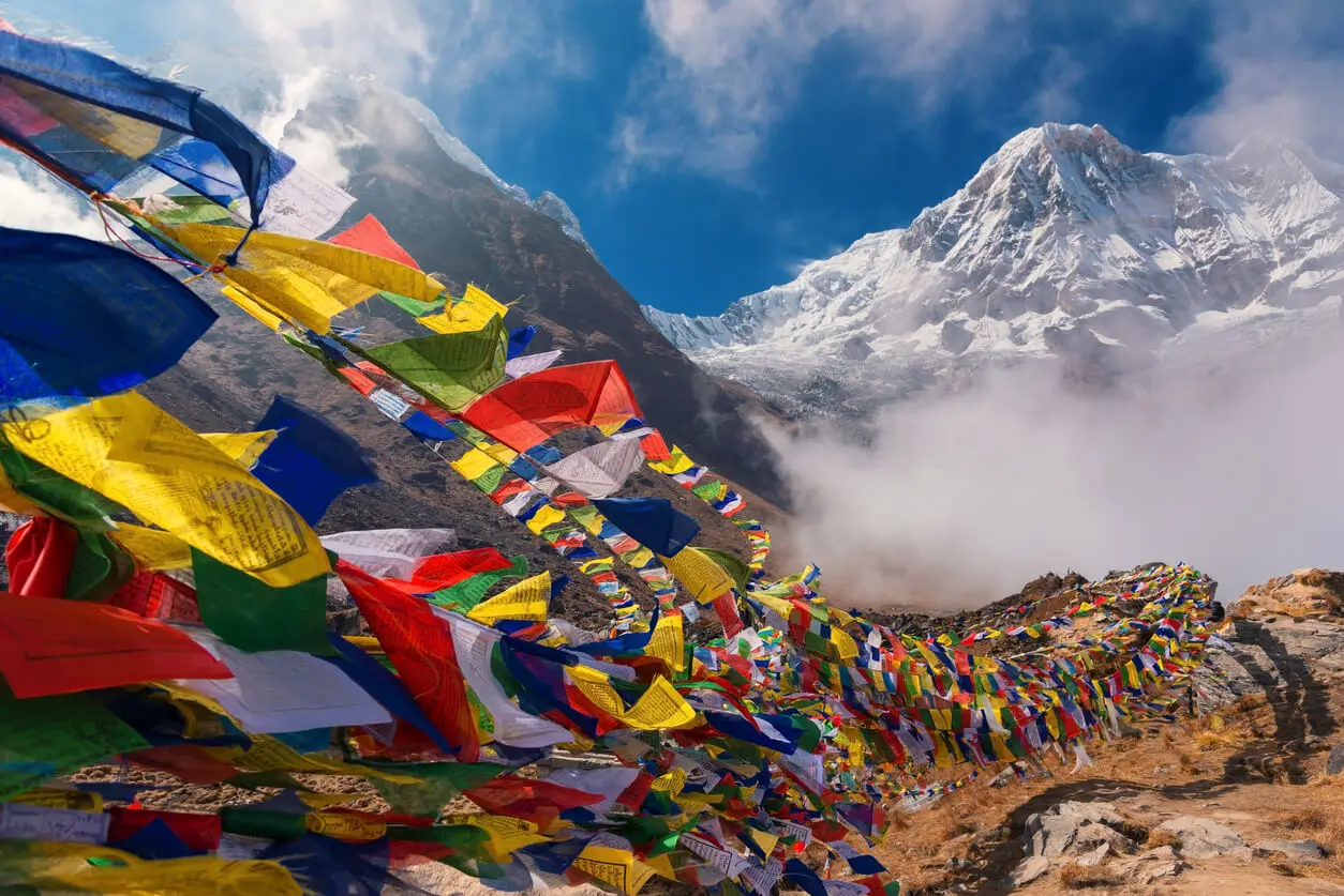 Himalaya, où est né le yarsagumba.