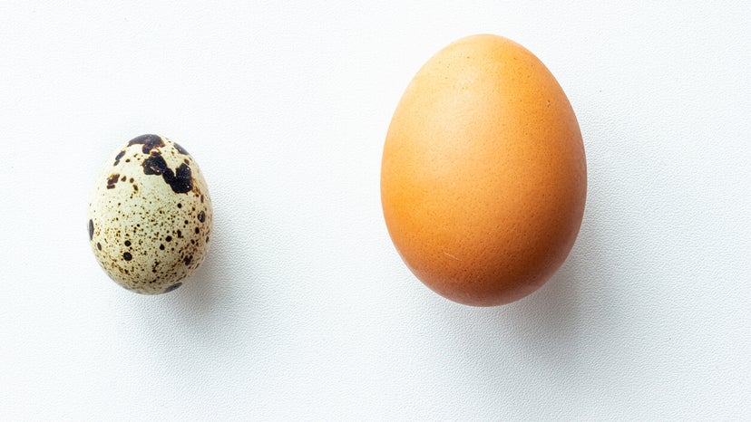 Wachteleier: Nährwert und Vorteile - Besser Gesund Leben