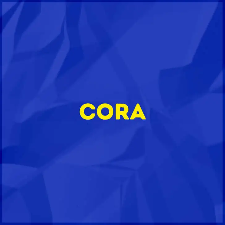 La palabra que oculta a la orca.