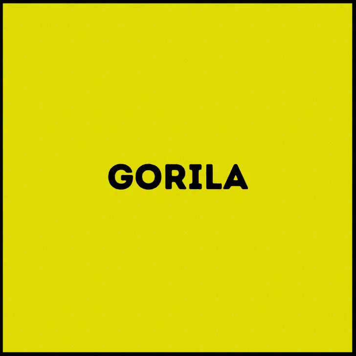 La respuesta del gorila.