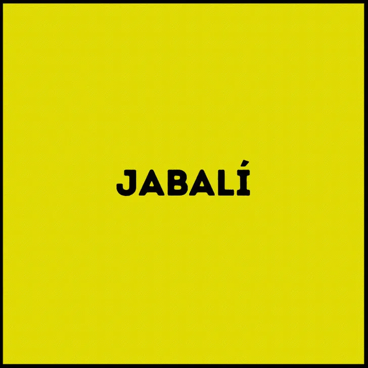 La respuesta del jabalí.