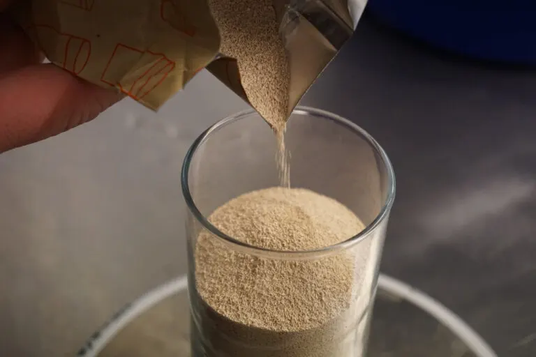 ¿La levadura de cerveza ayuda a incrementar la masa muscular?