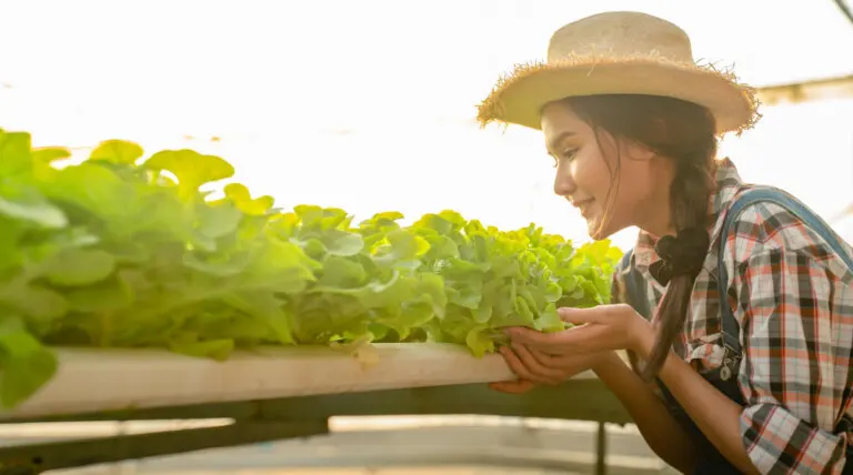 8 consejos para tener un cultivo hidropónico y no fallar en el intento