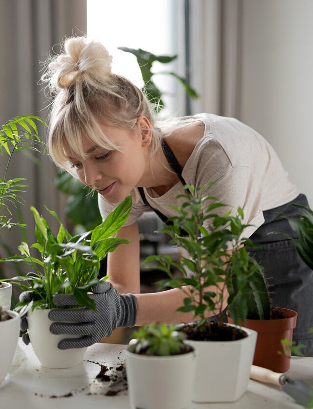 Quelato de hierro: ¿cómo puede beneficiar a tus plantas? - Mejor con Salud